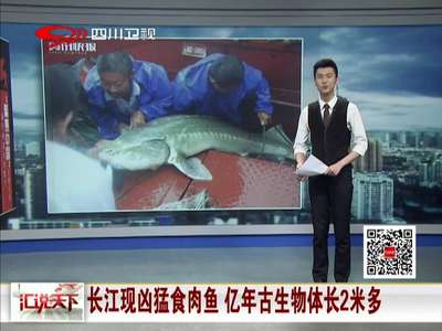 [视频]长江现凶猛食肉鱼 亿年古生物体长2米多（图）