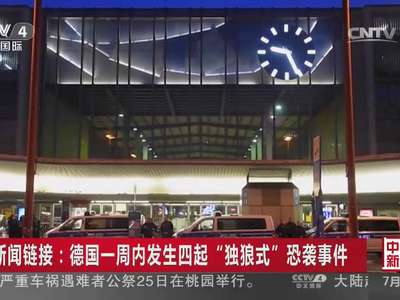 [视频]德国一周内发生四起“独狼式”恐袭事件