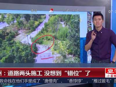 [视频]郑州：道路两头施工 没想到“错位”了