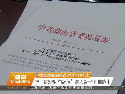 黄兰香参加省委统战部政研室党支部“两学一做”专题集中学习讨论