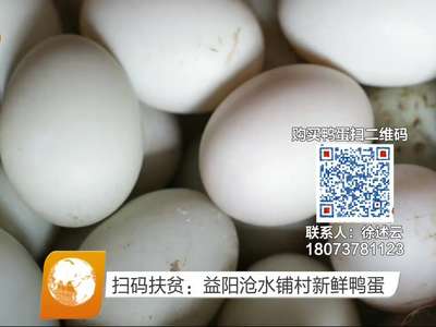 扫码扶贫：益阳沧水铺村新鲜鸭蛋