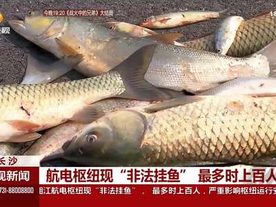 航电枢纽现“非法挂鱼” 最多时上百人