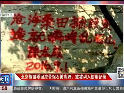 [视频]北京旅游委回应景观石被涂鸦：或被列入信用记录