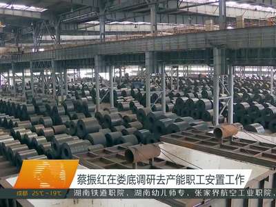 蔡振红在娄底调研去产能职工安置工作