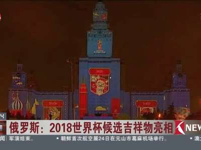 [视频]俄罗斯：2018世界杯候选吉祥物亮相