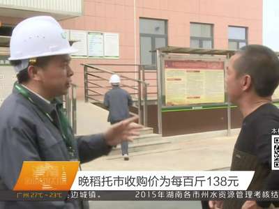 晚稻托市收购价为每百斤138元