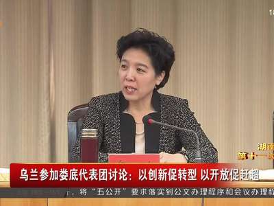 乌兰参加娄底代表团讨论：以创新促转型 以开放促赶超