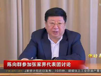 陈向群参加张家界代表团讨论