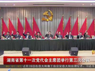 湖南省第十一次党代会主席团举行第三次会议
