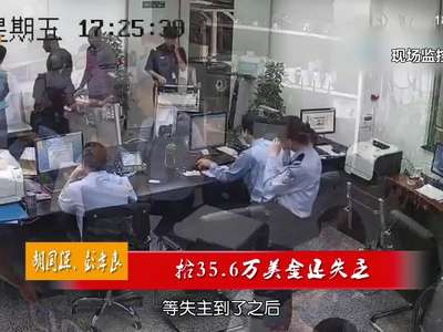 胡国辉、彭孝良：拾35.6万美金还失主