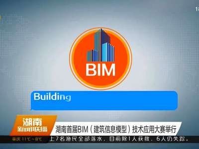 湖南首届BIM（建筑信息模型）技术应用大赛举行