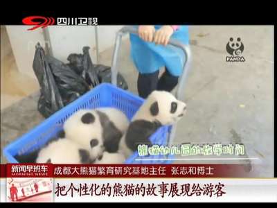 [视频]多视角直播 打开“围观熊猫”新方式！