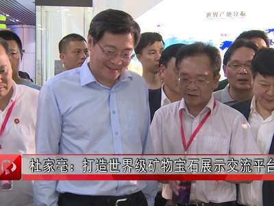 杜家毫：打造世界级矿物宝石展示交流平台