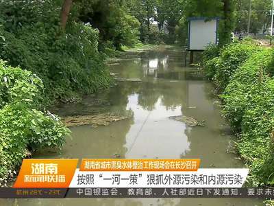 湖南省城市黑臭水体整治工作现场会在长沙召开