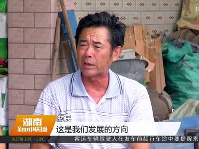 常德武陵区：“小将当家”激活基层党组织