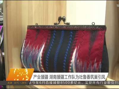 产业援疆 湖南援疆工作队为吐鲁番筑巢引凤