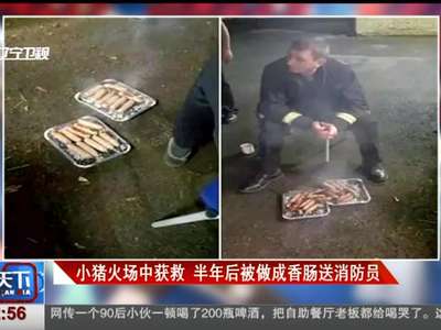 [视频]小猪火场中获救 半年后被做成香肠送消防员