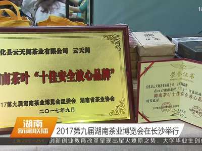 2017第九届湖南茶业博览会在长沙举行