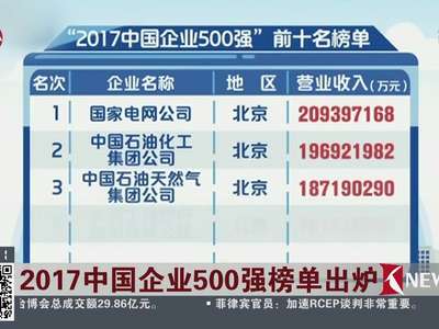 [视频]2017中国企业500强榜单出炉