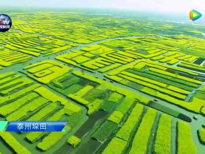 [视频]还看今朝：聚力发展 高原之上筑高峰 原来你是这样的江苏