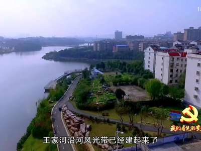 专访胡忠雄：从洞庭到长江 铸造江海新磁极