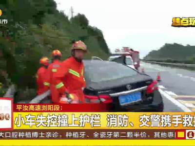 小车失控撞上护栏 消防、交警携手救援