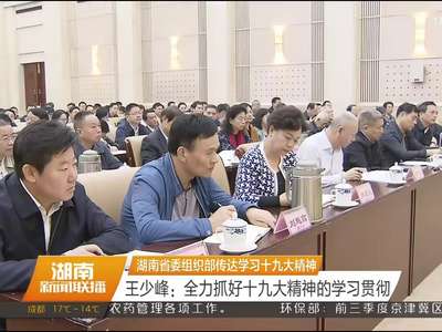 湖南省委组织部传达学习十九大精神 王少峰：全力抓好十九大精神的学习贯彻