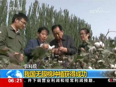 [视频]农科院 我国无膜棉种植获得成功