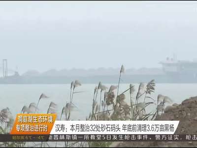洞庭湖生态环境专项整治进行时 汉寿：本月整治32处砂石码头 年底前清理3.6万亩黑杨