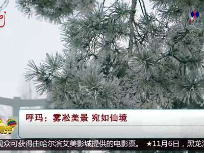 [视频]呼玛 雾凇美景 宛如仙境