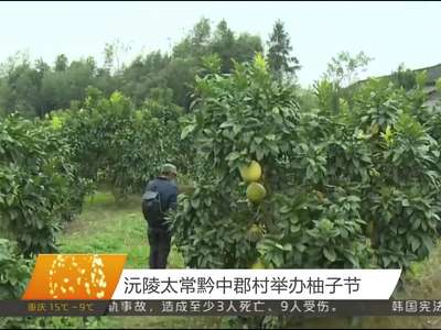 沅陵太常黔中郡村举办柚子节