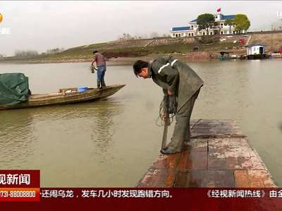 传统捕鱼“重出江湖”候鸟聚集历年最多