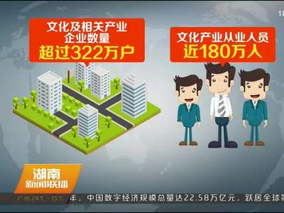 文化部推进文化产业园区建设和企业发展工作会议在长沙召开 杜家毫 许达哲与雒树刚座谈