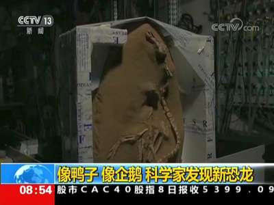 [视频]像鸭子 像企鹅 科学家发现新恐龙
