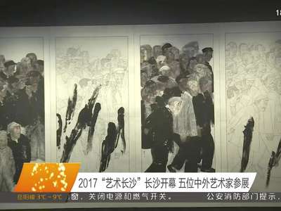 2017“艺术长沙”长沙开幕 五位中外艺术家参展