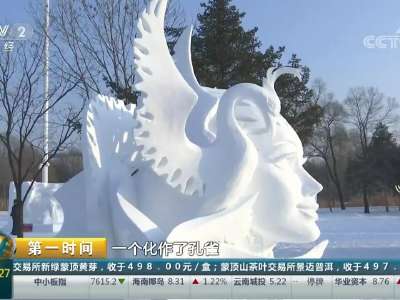 [视频]黑龙江：全国雪雕比赛 高手云集比拼