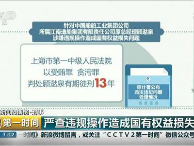 [视频]审计署公布违法违纪问题处理情况