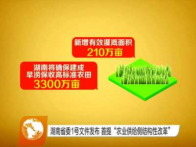 湖南省1号文件发布 首提“农业供给侧结构性改革”