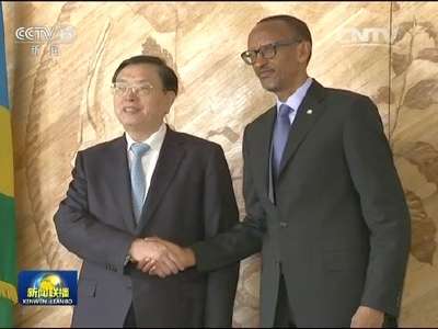 [视频]张德江会见卢旺达总统