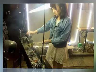 [视频]青岛萌妹子被赞“烧烤女神” 网友：好想去撸串