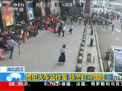 [视频]湖北武汉：惯犯火车站作案 铁警盯守擒贼