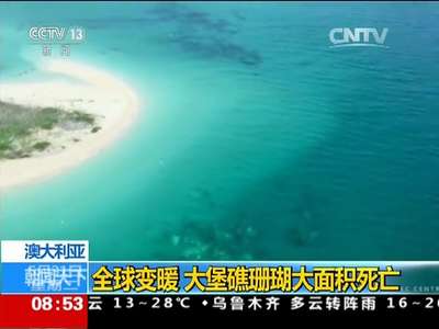 [视频]澳大利亚：全球变暖 大堡礁珊瑚大面积死亡