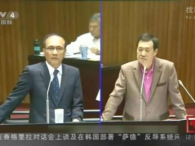 [视频]台当局行政主管竟称“慰安妇可能是自愿的”