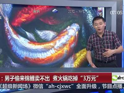 [视频]广东：男子偷来锦鲤卖不出 煮火锅吃掉“3万元”