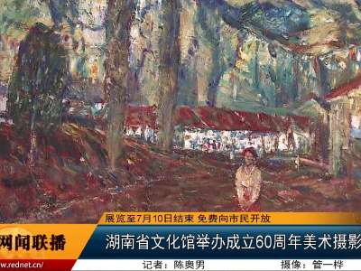 湖南省文化馆举办成立60周年美术摄影书法展