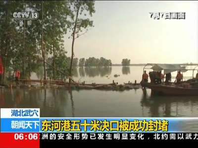 [视频]汛情严峻·湖北武穴：东河港五十米决口被成功封堵