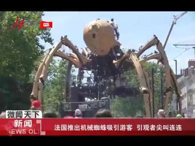 [视频]法国推出机械蜘蛛吸引游客 引观者尖叫连连