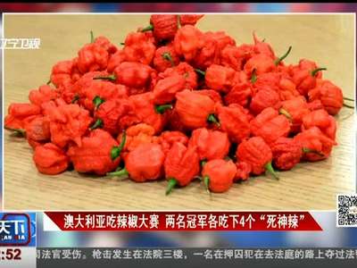 [视频]澳大利亚吃辣椒大赛 两名冠军各吃下4个“死神辣”