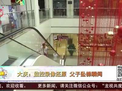 [视频]大庆：监控录像还原 父子坠梯瞬间