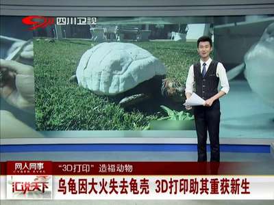 [视频]乌龟因大火失去龟壳 3D打印助其重获新生